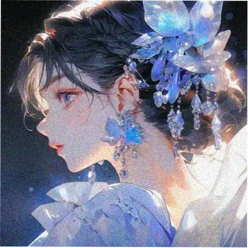 暖阳下的猫